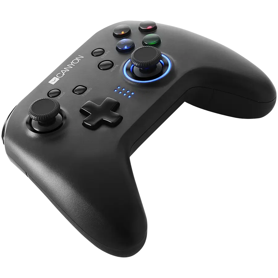 CANYON GP-W3, 2.4G Wireless Controller with built-in 600mah battery, 1M Type-C charging cable ,6 axis motion sensor support nintendo switch ,android,PC X-input/D-input,ps3,normal size dongle,black