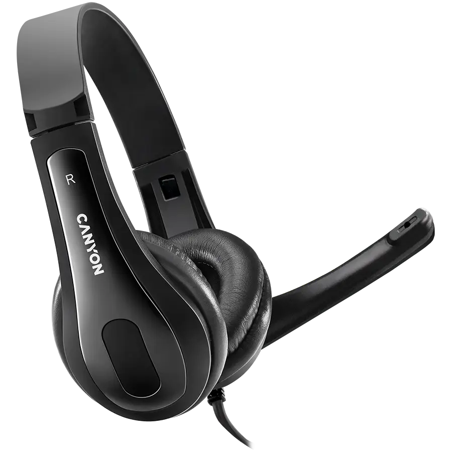 CANYON CHSU-1, basic PC headset with microphone, USB plug, leather pads, Flat cable length 2.0m, 160*60*160mm, 0.13kg, Black;