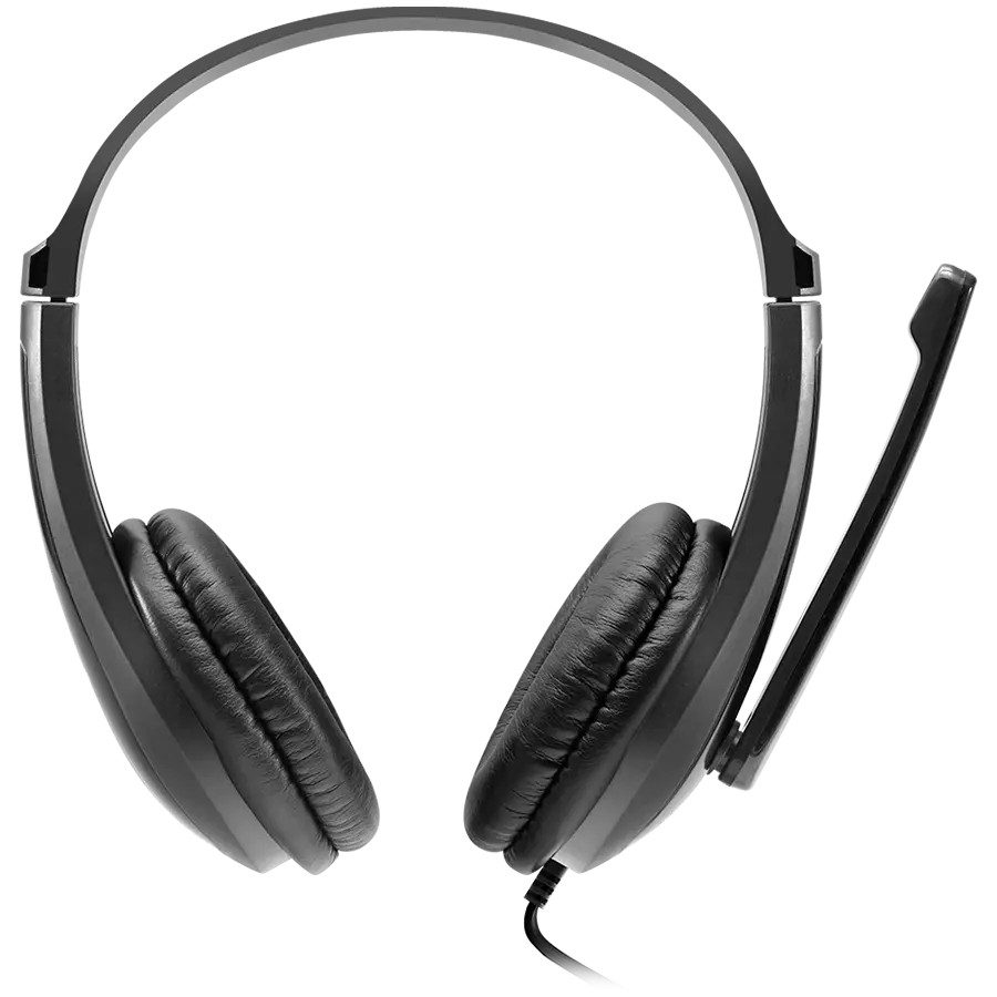 CANYON CHSU-1, basic PC headset with microphone, USB plug, leather pads, Flat cable length 2.0m, 160*60*160mm, 0.13kg, Black;